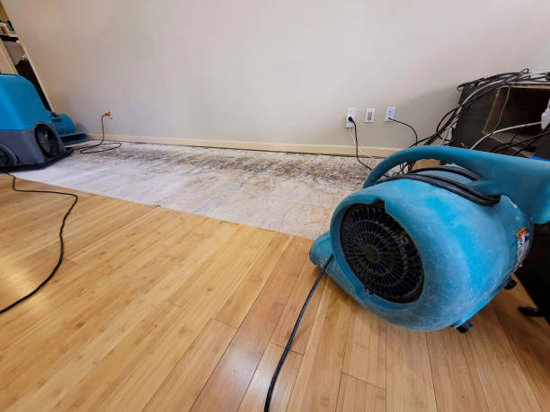 Professional Water Damage Repair technician working in Warrenville, SC